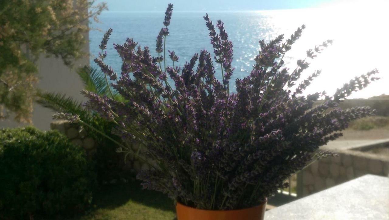 Holiday Home Ankica Ražanac Buitenkant foto